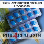 Anaconda Male Enhancement Pills viagra2